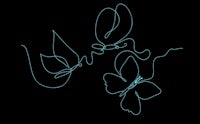 a drawing of two butterflies on a black background